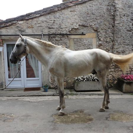 Gite Des Ecuries Du Seillery La Clisse المظهر الخارجي الصورة